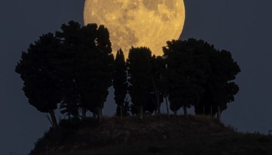 «ماه برداشت» بر فراز توسکانی