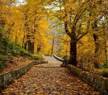 زیبایی مسحور کننده پاییز در طبیعت گلستان +عکس