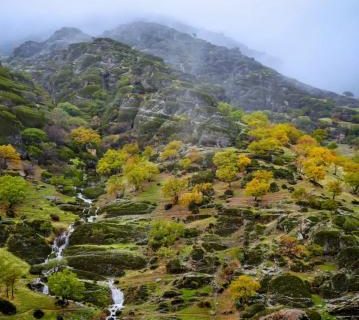 مخمل‌کوه لرستان در یک روز بارانی + عکس