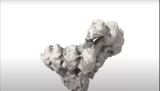 برای اولین‌بار ویدیویی از مهم‌ترین فرایند تقسیم سلولی منتشر شد