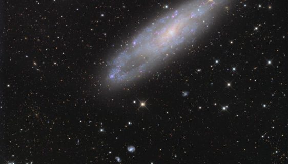 NGC 247 به همراه کهکشان مارپیچی براق NGC 253، بخشی از گروه کهکشان‌های مجسمه‌ساز است.