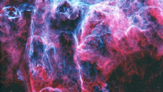 NGC 6995، که به‌طور غیر رسمی به‌عنوان سحابی خفاش شناخته می‌شود، تنها 1/2 درجه، تقریباً به اندازه ظاهری ماه، گستره دارد.