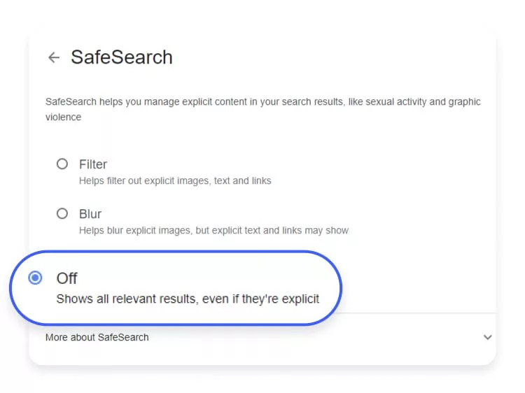 چطور جستجوی ایمن گوگل safe search را خاموش کنیم؟ دیدانگار.webp