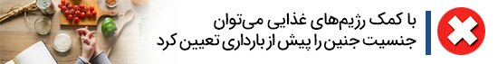 1732017247 886 تعیین کننده جنسیت جنین زنان می باشند یا مردان؟