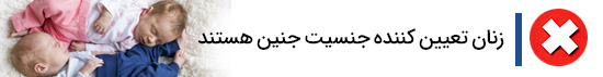 1732017248 238 تعیین کننده جنسیت جنین زنان می باشند یا مردان؟