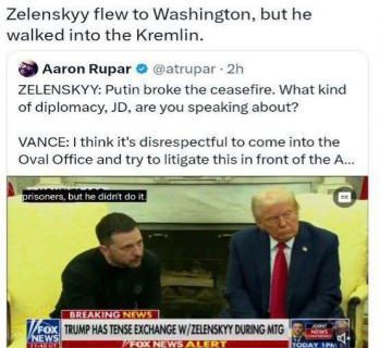 کنایه نماینده کنگره آمریکا به رفتار تحقیرآمیز ترامپ با زلنسکی