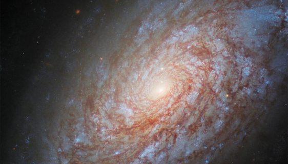 کهکشان مارپیچی NGC 4414 با ظاهری پشمی